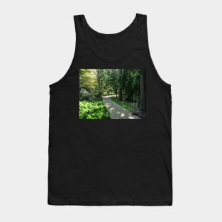 Garden path looks beautiful in sunlight Tank Top